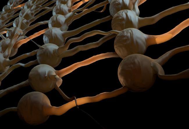 Scale Space linked up with the University of Edinburgh to help boost start-ups working in the Artificial Intelligence sector
